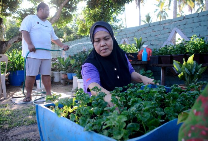 Good methods of home vegetable gardening