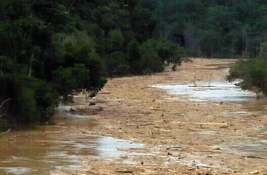 Vessel operators advised to take precautions against drifting timber debris
