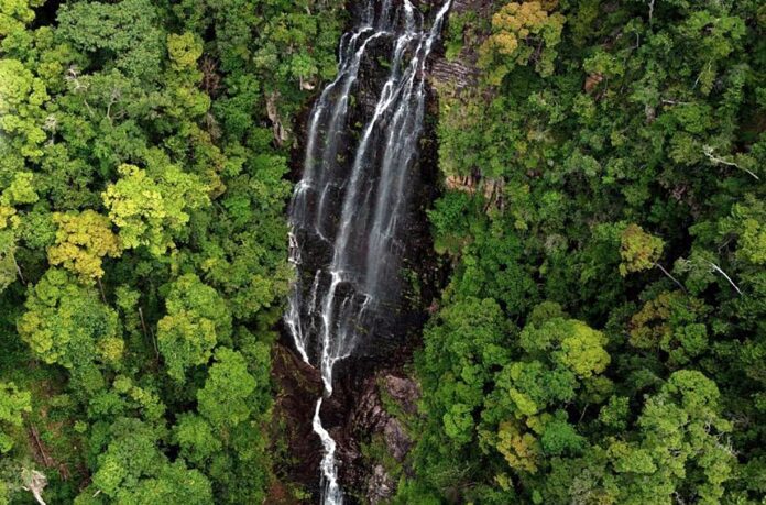 Appreciating beauty of flora from the top