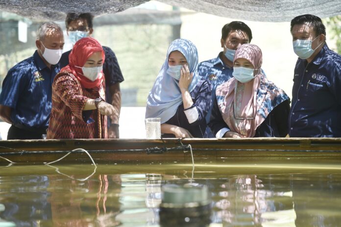 Connecting people for the greater good through translational research