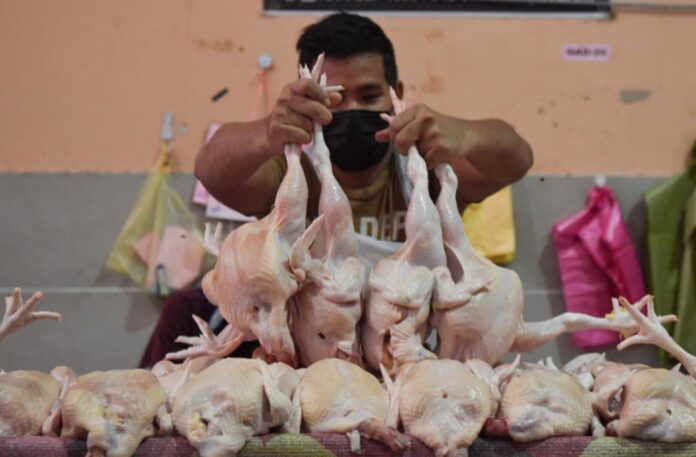 Market prices for chicken stabilising, thanks to engagement session – Nanta