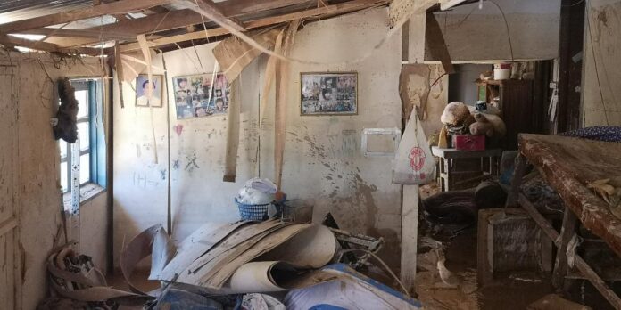 We could only watch our property destroyed, says victim