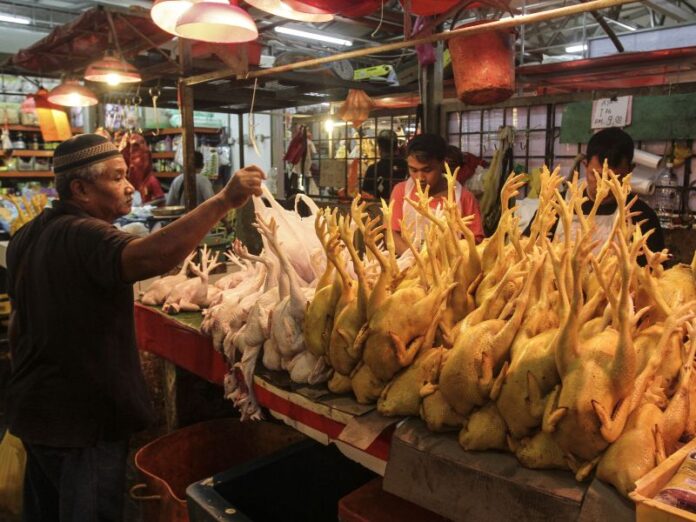 Finance Ministry to study best method to stabilise chicken prices