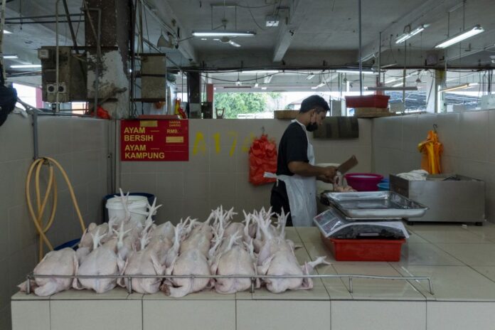 Market prices for chicken stablising, thanks to engagement session, says minister