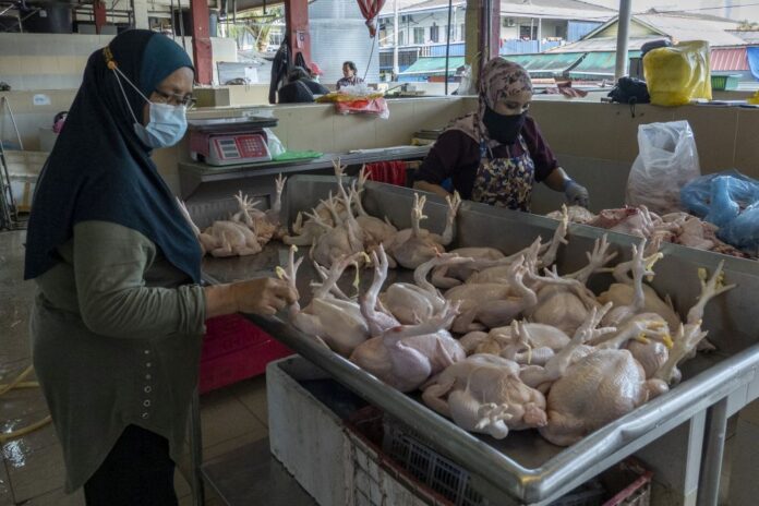 Melaka chicken traders reduce price after prompt action by Domestic Trade Ministry