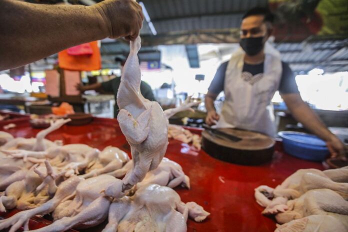 After ministry inspection, 56 premises in Shah Alam agree to reduce chicken prices immediately