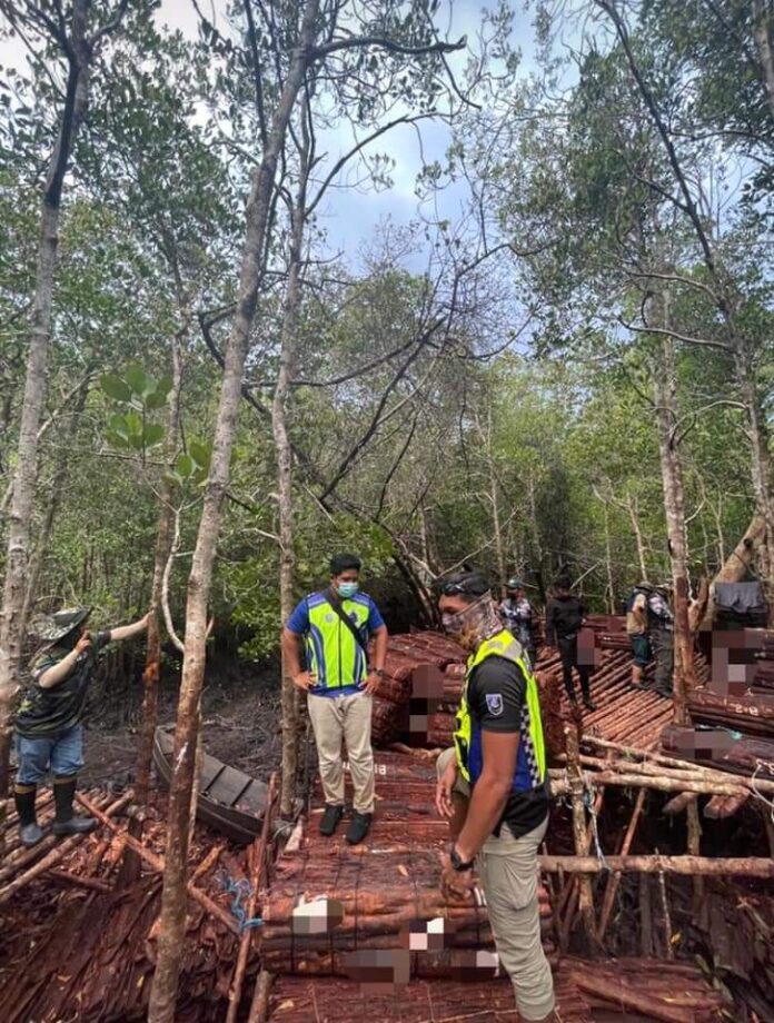 Tangar tree barks worth RM420,000 seized
