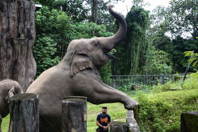 The most visited places in Malaysia in pandemic year 2020: Zoo Negara, Sibu Central Market, Melaka River Cruise