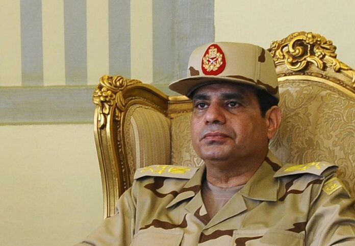 Egypt's Sisi warns newly weds subsidy cards will not cover their children
