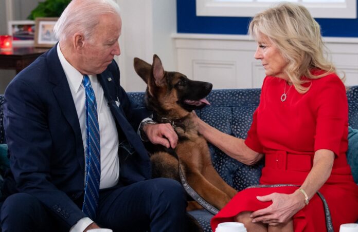 In Christmas greeting, Biden commends Americans’ Covid resilience