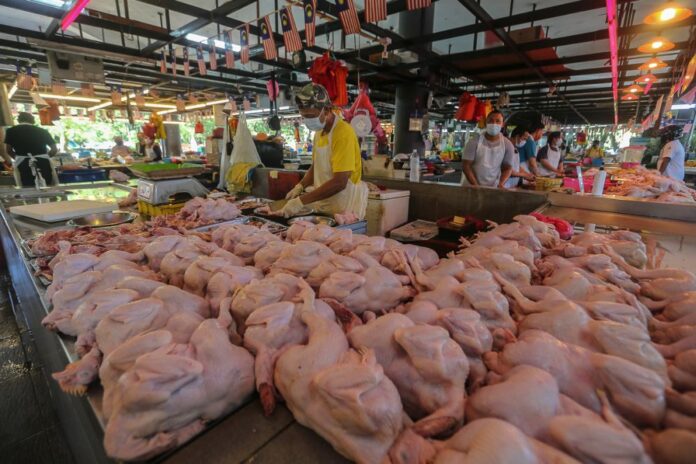 Import of frozen chicken temporary measure to stablise prices, says minister