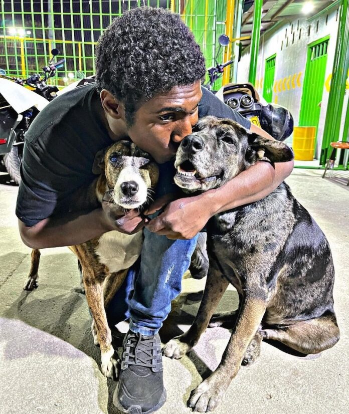 Homeless man in Colombia warms hearts on social media after celebrating dog's birthday with cake (VIDEO)