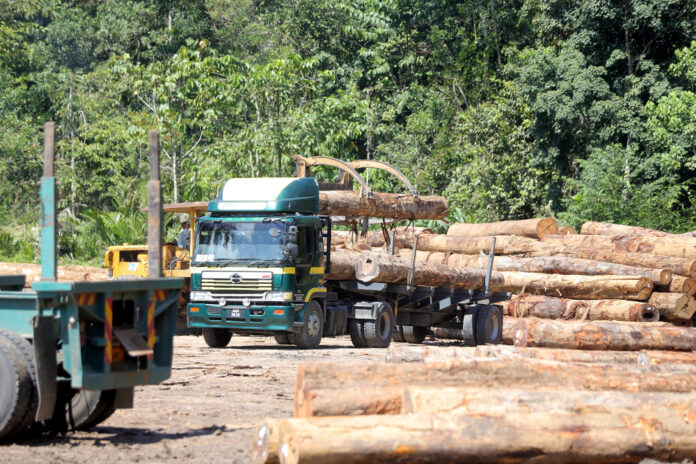 Kota Kinabalu MP: Lifting timber export ban an open invitation to illegal loggers