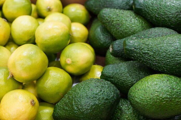 What is the lemon detox, used by many to lose weight in the New Year?