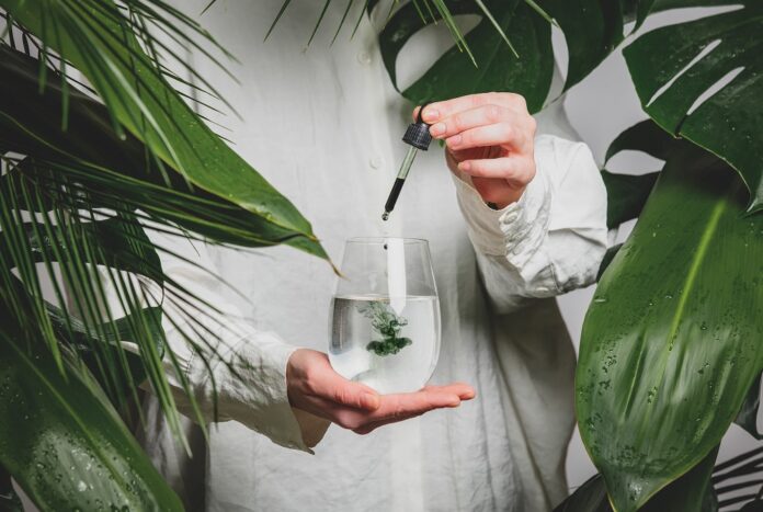 Three natural ingredients coming to beauty routines in 2022