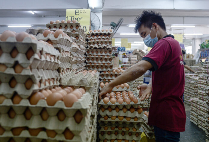 Govt looking for mechanism to tackle price hike for chicken and eggs, says minister