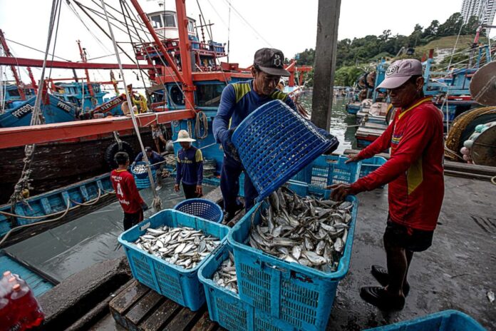 Immigration Dept says will take immediate action against foreign fishermen without valid temporary work permits