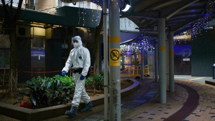 Single hamster handed over for Hong Kong Covid cull tests positive