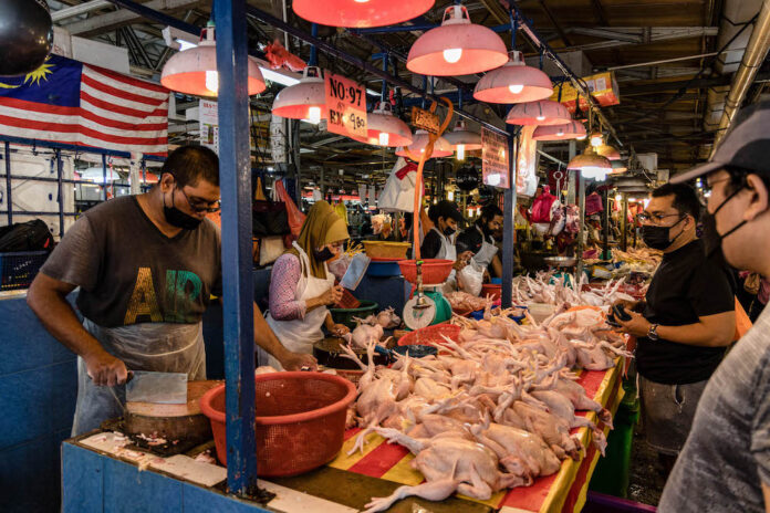 Report: Chicken farmers say facing RM200m losses per day with price ceiling, still no word on govt subsidy