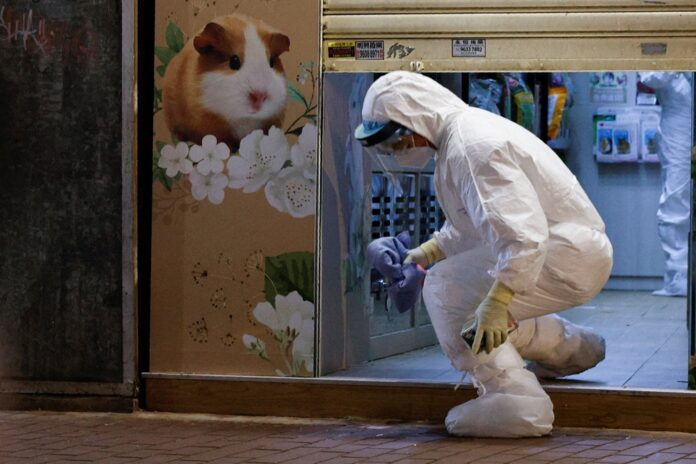Hong Kong reports record Covid cases, seeks China support