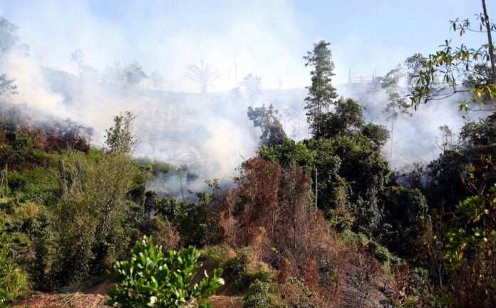 Public warned against open burning amid hot, dry weather