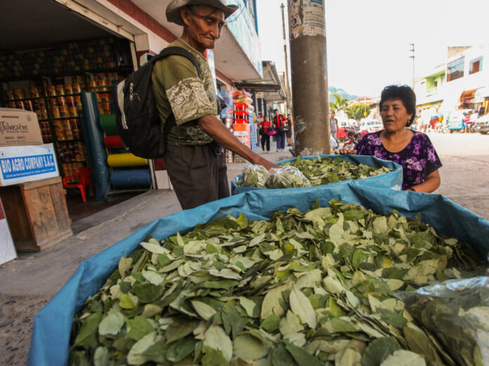 'Coca' pits indigenous Colombians against soft drink giant