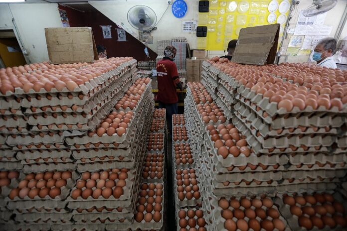 Deputy minister: Chicken, egg supply down by 2.7pc from last week's figures