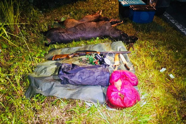 Sabah authorities detain five hunters in Paitan