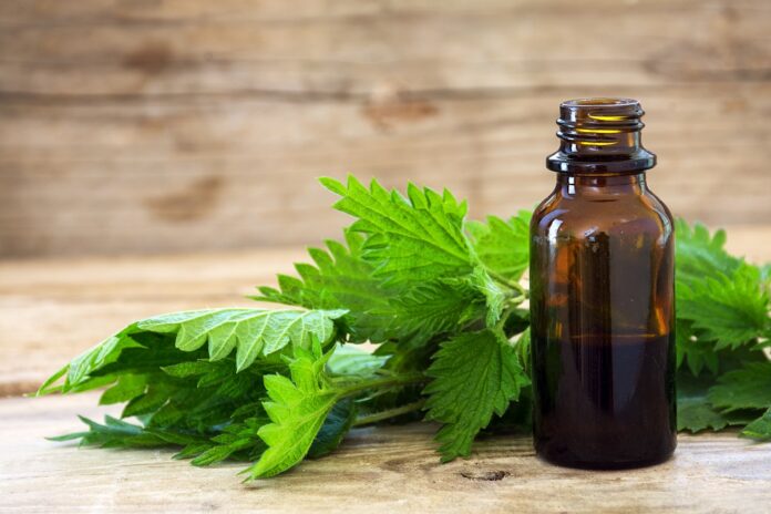 Nettle leaf could be your favourite new beauty ingredient