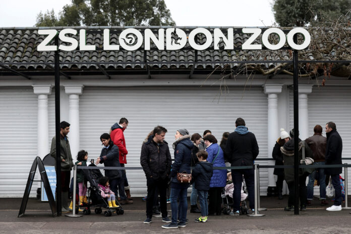 UK zoo names white rhino 'Queenie' for Elizabeth II