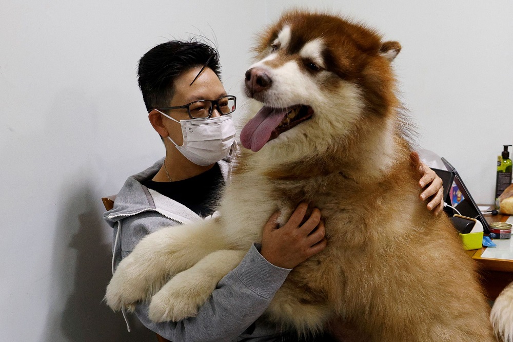 China builds pet care centre for pets whose owners are isolated in Covid-19 centralised quarantine facilities