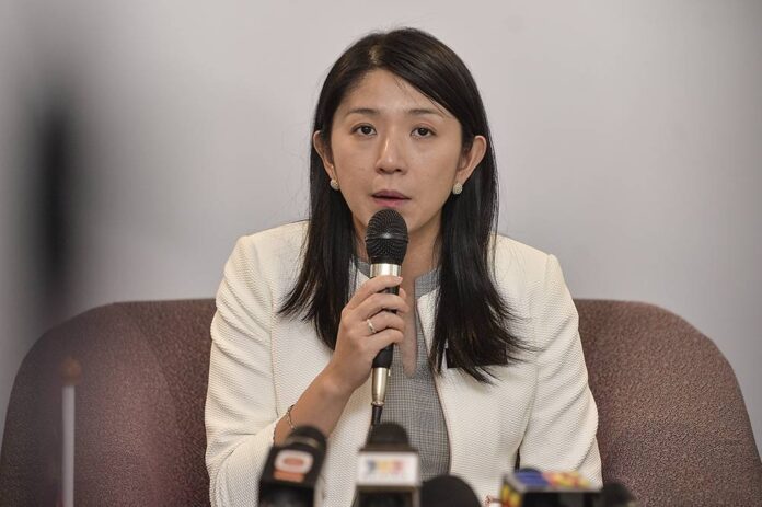 DAP MP urges Putrajaya to lift ban on renewable energy exports