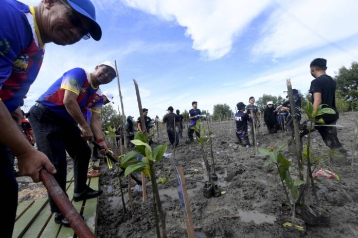 Minister: Malaysia successfully plants 33 million trees