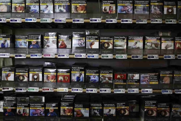 WHO: Big tobacco's environmental impact is 'devastating'