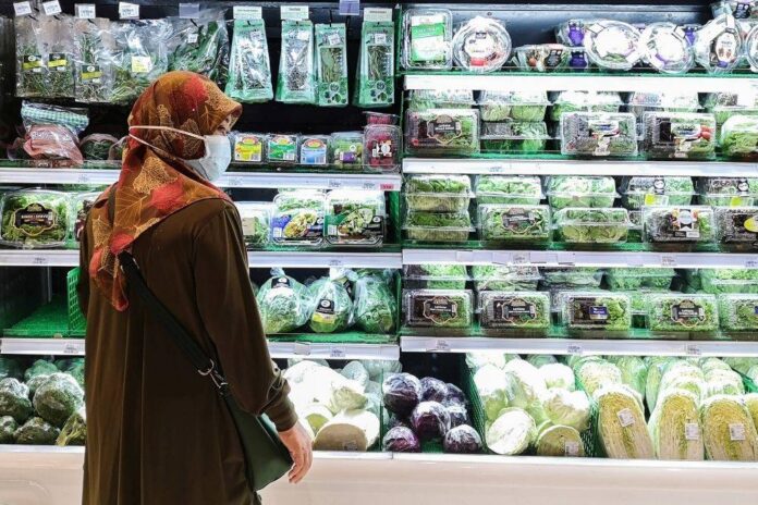 Experts: More effective measures needed to address rising food prices, supply hiccups