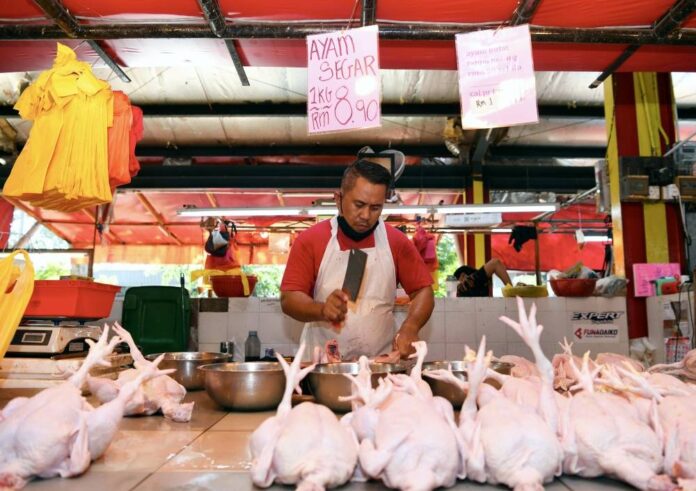 Sufficient chicken supply for Aidiladha, assures DVS