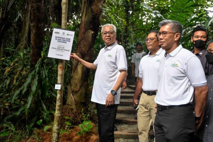 PM Ismail Sabri: Environmental violations need to be addressed with stricter laws