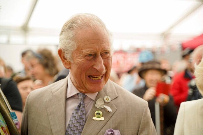 Prince Charles slams UK's Rwanda plan