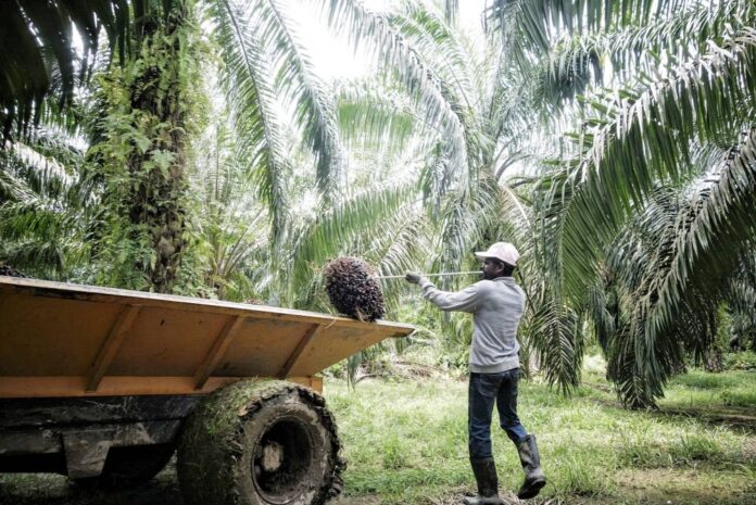 Malaysia firms forced to turn down orders as migrant labour shortage hits