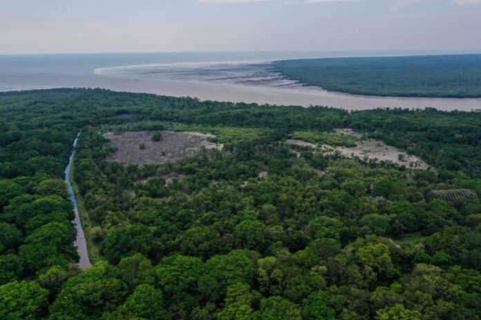 Uncertainty swirls around proposed tourism project for Kuala Selangor Nature Park