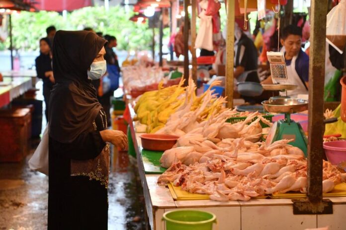 Govt's decision not to float chicken prices brings relief to many