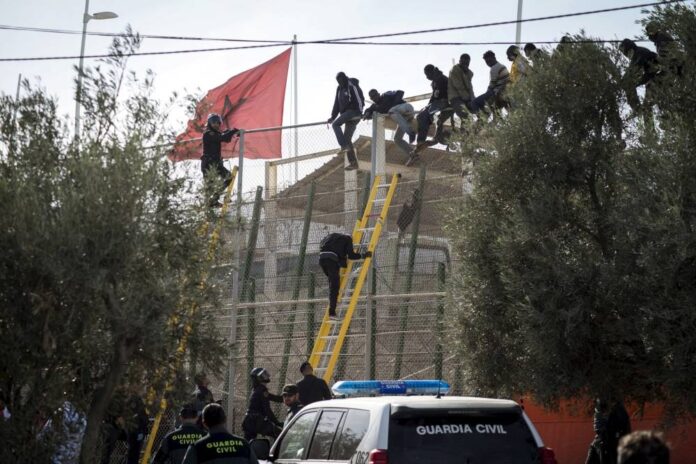 Dozens of migrants piled on the ground in Melilla disaster, rights group says