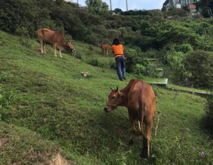 FT Land Office: DBKL to hold discussions with Kebun-Kebun Bangsar