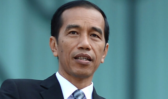Jokowi to visit Russia, Ukraine this month ahead of G20 meeting