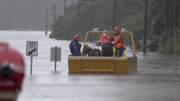 Sydney braces for more heavy rains and flash floods as thousands flee homes