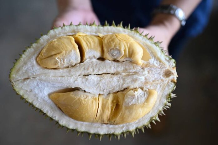 Report: Malaysian durian exporters warn of 'crisis' next year due to liquid nitrogen shortage