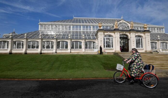 Kew Gardens announces new giant waterlily species