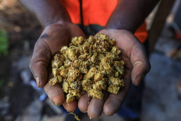 Cameroon's mushroom growers looking beyond the kitchen