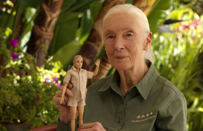 Primatologist Jane Goodall gets Barbie doll in her likeness