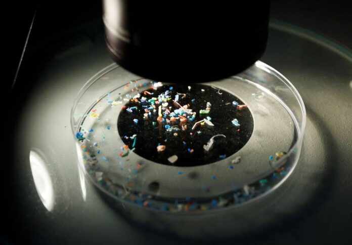 Surfing scientists hunt microplastics off Spanish beaches